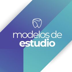 Modelo Digital en 3D e Impreso